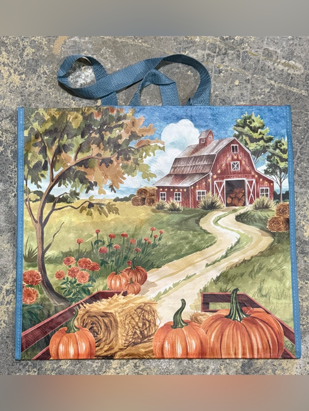 TJMaxx HomeGoods Marshalls Reusable Tote Bag Holiday Theme -Red Barn Fall